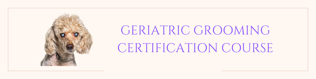 Geriatric Certification Course